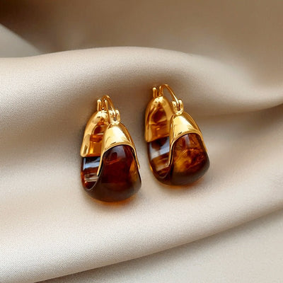 1 Pair Women's Amber Earrings French Style, High - End, Light Luxury & Vintage Ear Clips Niche, Elegant Maillard Ear Jewelry - Zambeel