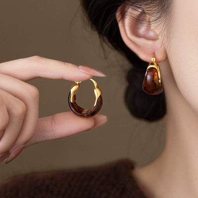 1 Pair Women's Amber Earrings French Style, High - End, Light Luxury & Vintage Ear Clips Niche, Elegant Maillard Ear Jewelry - Zambeel