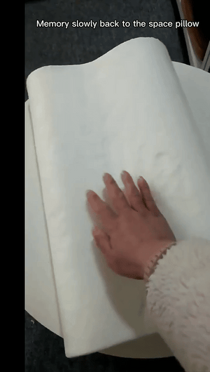 وسادة الذاكرة