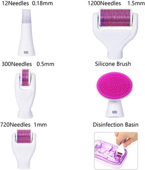 6 - in - 1 Derma Roller System - Zambeel