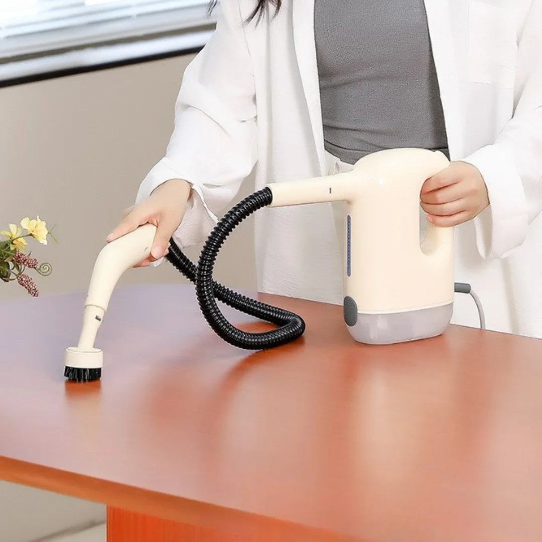 Steam Cleaning Machine Ⓢ