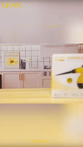 Denx - Steam Cleaner