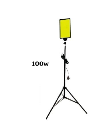 Caical - LED Outdoor Light - Zambeel