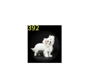 Car HD Rechargeable Wireless Door Welcome Light - Zambeel