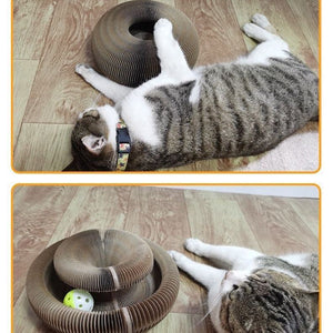Corrugated And Foldable Cat Paper Nest - Zambeel