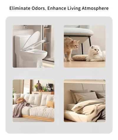 Denx - Type - C Aroma Diffuser - Zambeel