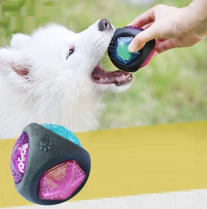 Dog Toy Ball - Zambeel