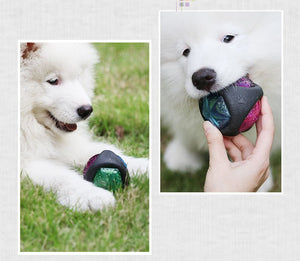 Dog Toy Ball - Zambeel