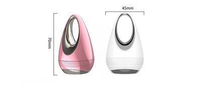 Facial Beauty Instrument - Zambeel