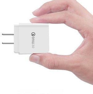 Fast Charge Charger - Zambeel