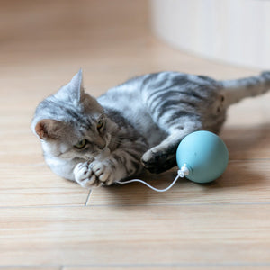 Funny Cat Electric Cat Toy - Zambeel