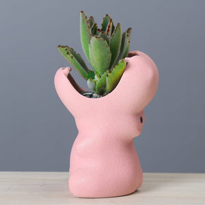 Gardening Creative Succulent Flower Pot - Zambeel