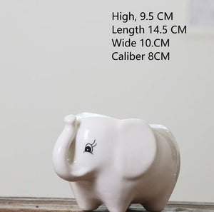 Gardening Creative Succulent Flower Pot - Zambeel