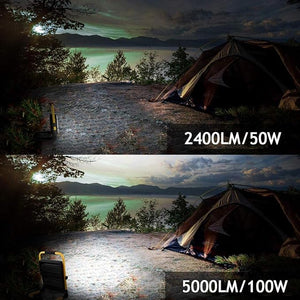 LED COB Flood Light - Zambeel