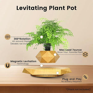 Levitating - Bonsai Planter Pot © - Zambeel