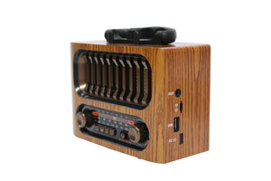 MEIER - Bluetooth Radio Speaker - Zambeel