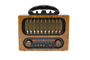 MEIER - Bluetooth Radio Speaker - Zambeel