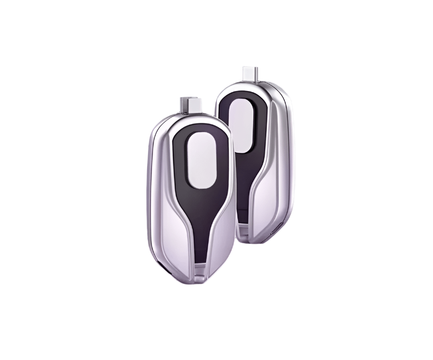 Mini Head Key Chain - Zambeel