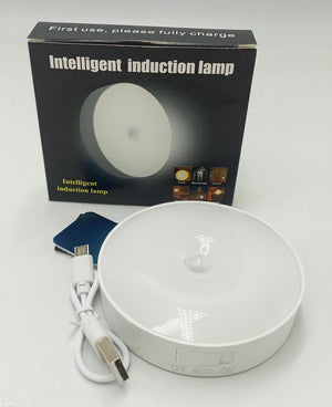 Motion Sensor LED Night Light - Zambeel