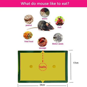 Mouse & Rat Lure Glue Traps - Zambeel