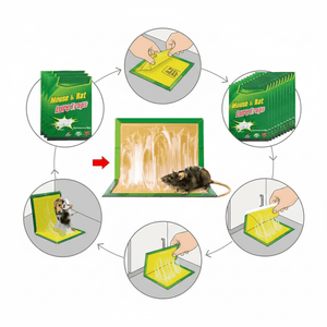 Mouse & Rat Lure Glue Traps - Zambeel