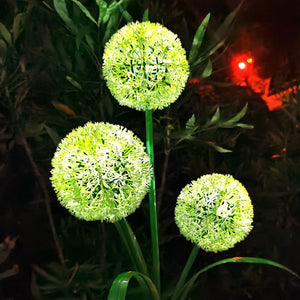 Outdoor Solar Lantern Dandelion Light 3LED - Zambeel