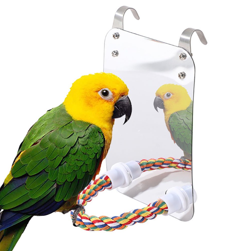 Parrot Toy Acrylic Bird With Mirror - Zambeel