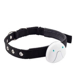 Pet Locator Dog Smart Mini Tracker Waterproof Anti Lost Collar Tracker - Zambeel