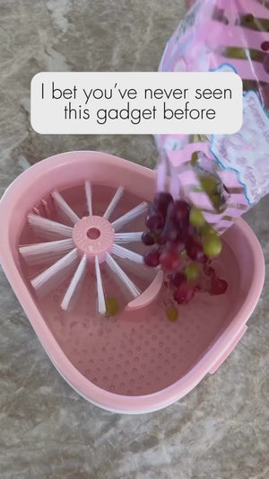 Fruit Cleaning Device Ⓢ