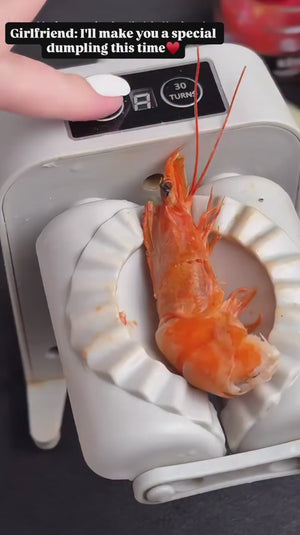 Electric Dumpling Machine