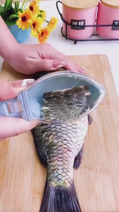 Fishing Scale Brush
