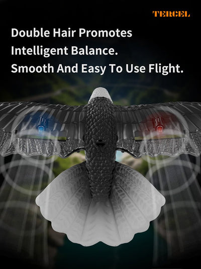 RC Eagle For Kids - Zambeel