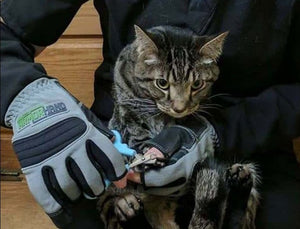 Scratch Protection Leather Gloves - Zambeel