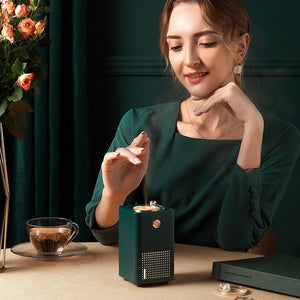 Single Spray Humidifier - Zambeel