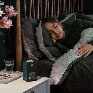 Single Spray Humidifier - Zambeel