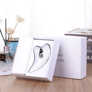 Ultrasonic Beauty Instrument - Zambeel