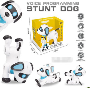 Voice Programming Stunt Dog Robot - Zambeel